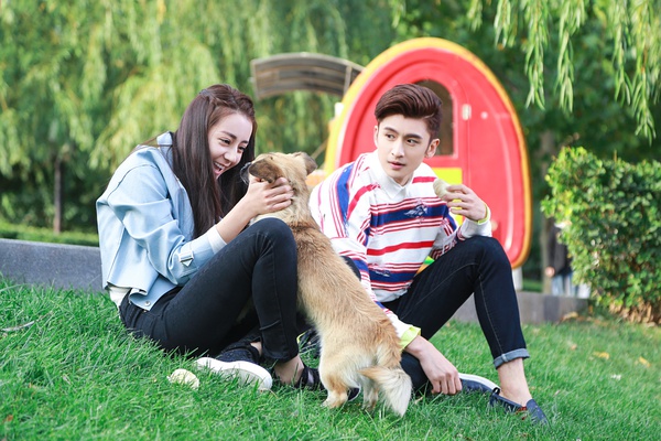 《傲嬌與偏見(jiàn)》